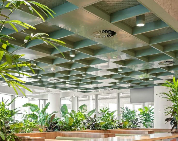 Open-plan space with a green open cell acoustic ceiling grid above long planters of tropical plants and tall windows