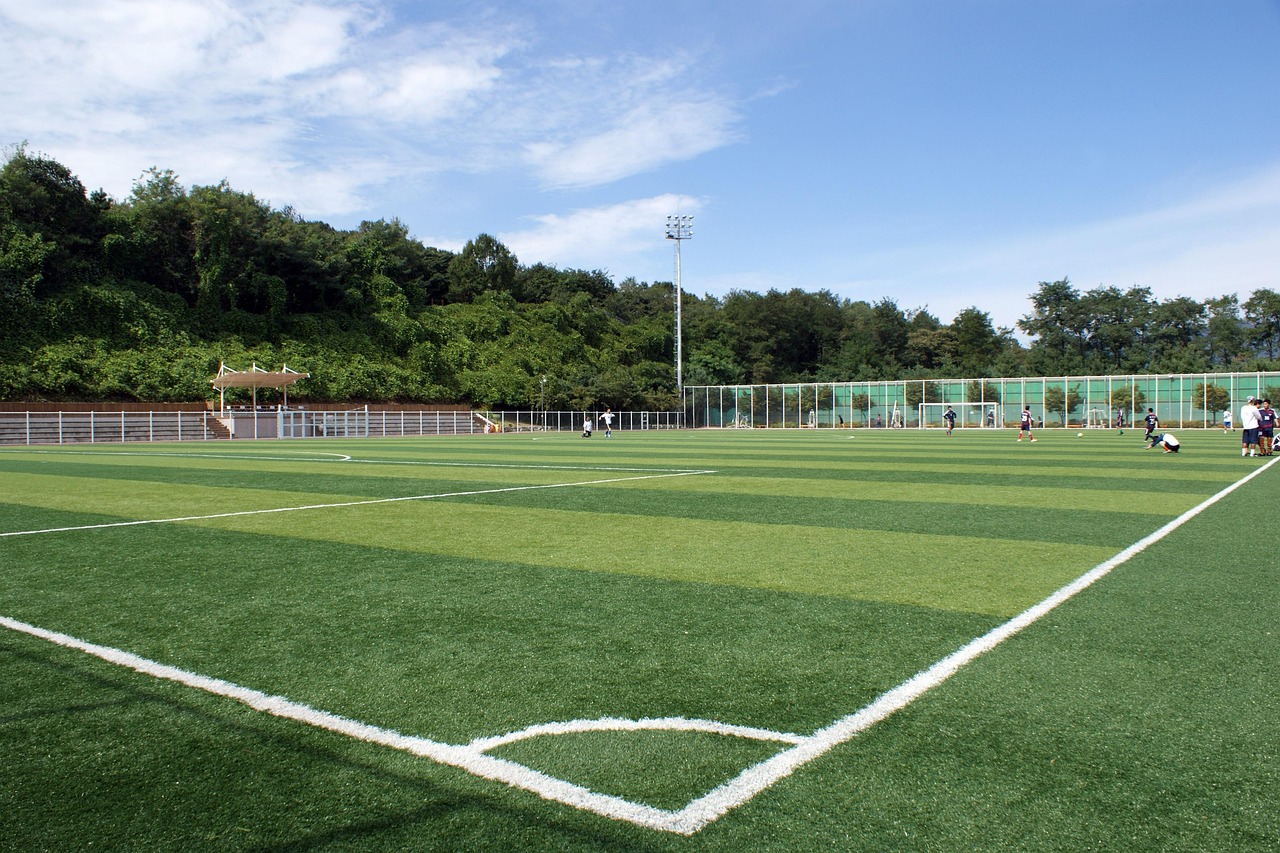 Artificial Grass & Multiturf